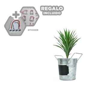 Contenedor Cubo de Metal con Doble Agarradera y Cuadro para Nota Plateado Y+Regalo Sticker