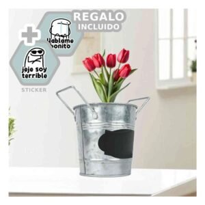 Contenedor Cubo de Metal con Doble Agarradera y Cuadro para Nota Plateado Y+Regalo Sticker