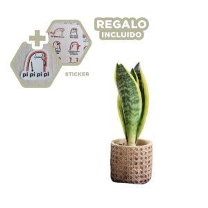 Maceta Minimalista Cilindro Cemento 11x10.5cm Mostaza Tejido Rombos Y+Regalo Sticker