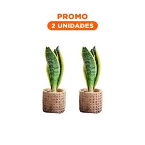 Pack2 Jardinera Cilindro Cemento Mostaza Tejido Rombos Para Hogar