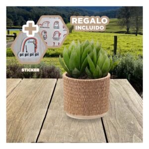Contenedor Cilindro Cemento 13x13cm Mostaza Tejido Rafia Para Jardin Interior Y+Regalo Sticker