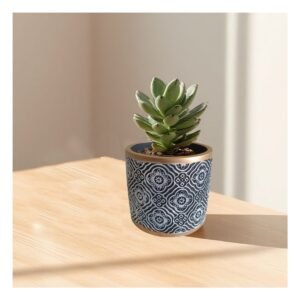 Maceta Decorativa Cilindro Cemento 11x10.5cm Negro Blanco y Dorado Flor Mandala