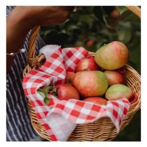 Canasta Ovalada de Mimbre con Dimensiones 28x20x25cm para Uso Domestico