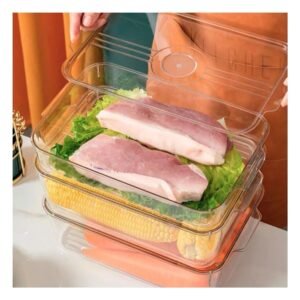 Recipiente de Acrilico Rectangular con Tapa Recta y Desague 32x20x5cm Transparente